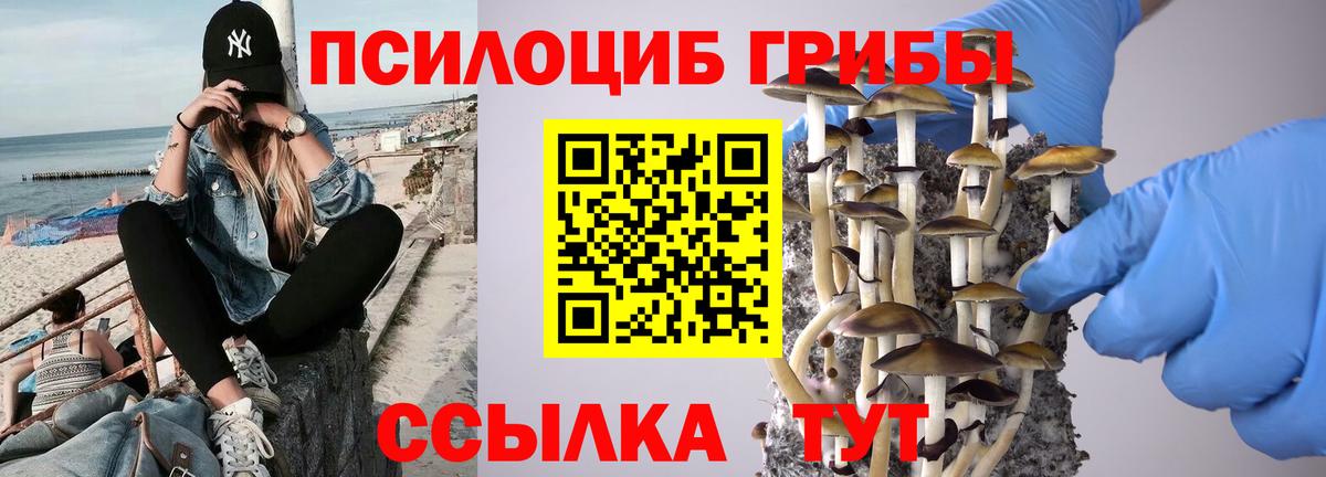 Галлюциногенные грибы мицелий Заводоуковск
