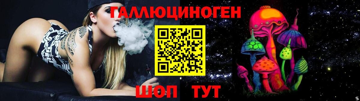 Псилоцибиновые грибы Cubensis  цена   Заводоуковск  Вход с VPN 